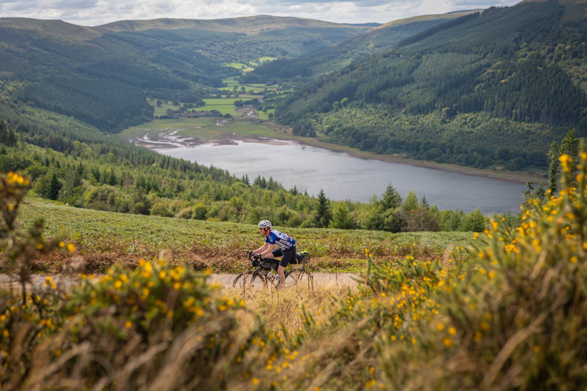 A rider among the gorse on the ridge above Talybont Reservoir
