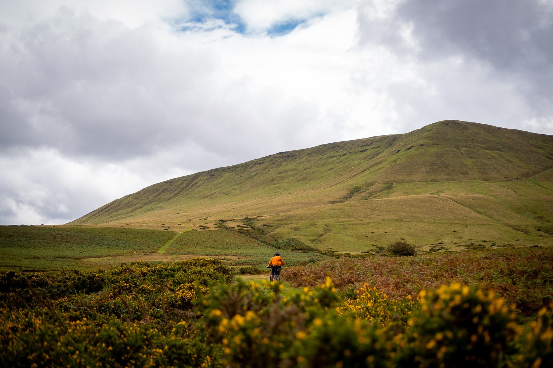 A lone rider on open moorland beneath a towering sky